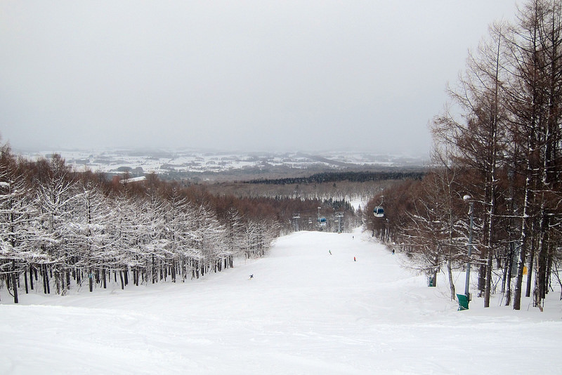 青森 鰺澤 青森之泉滑雪場 Aomori Spring Ski Resort 初中級者的粉雪天堂 Teresa的旅遊筆記 青森 鰺澤 青森之泉滑雪場 Aomori Spring Ski Resort 初中級者的粉雪天堂 Teresa的旅遊筆記