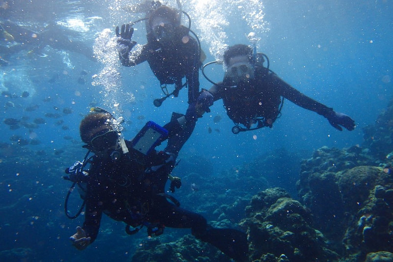 沖繩青之洞窟(藍洞)潛水